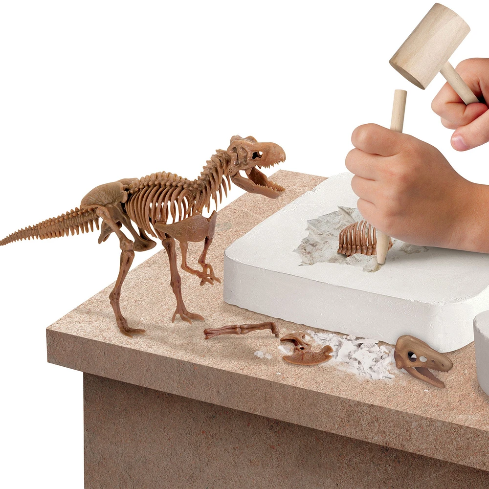 3D Dino Skeleton Excavation Kit