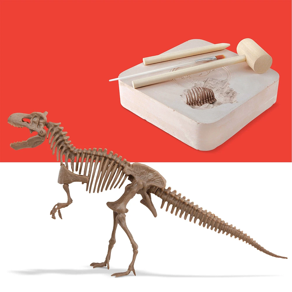 3D Dino Skeleton Excavation Kit