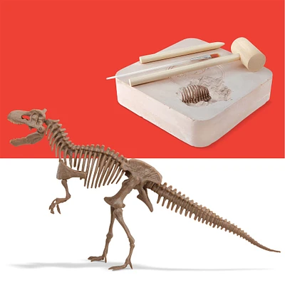 3D Dino Skeleton Excavation Kit