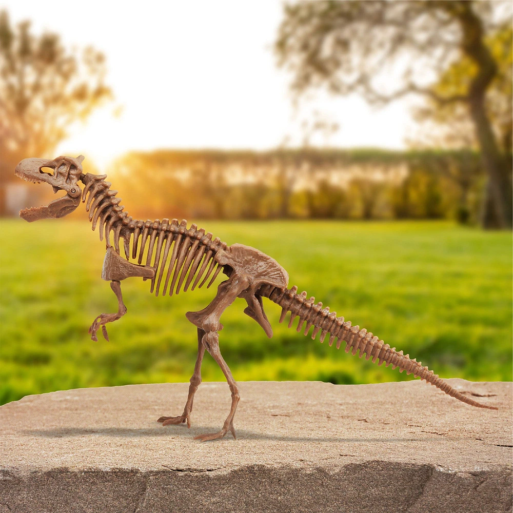 3D Dino Skeleton Excavation Kit