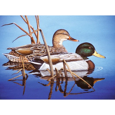 Paint by Numbers - Blue Water Mallards