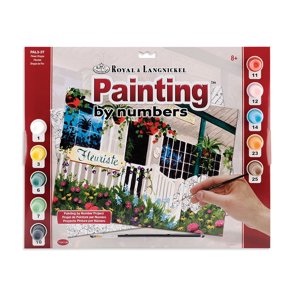 Painting by Numbers Kit