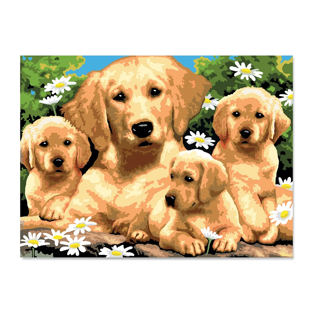 Peinture à numéros Junior – golden retrievers