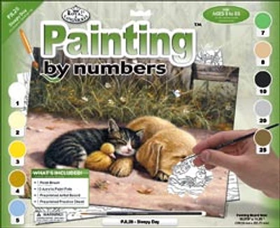 Sleepy Day junior paint by Numbers kit