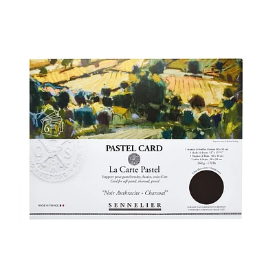 6-Pack Pastel Cards - Charcoal
