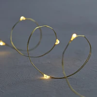 Garland 40 LED Lights – Cool White