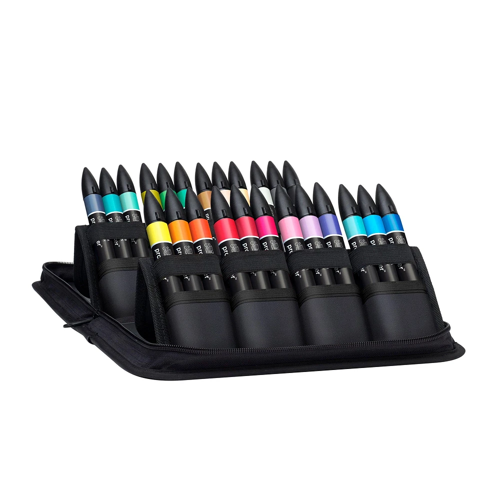 24-Piece Double-Tip Promarker Marker Set, Arts & Illustration - Bullet and Chisel Tip