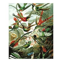 Paint by Numbers Kit - "Hummingbirds, Haeckel"