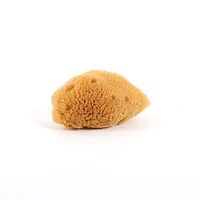 sea silk sponge