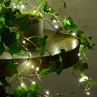 Garland 40 LED Lights – Warm White