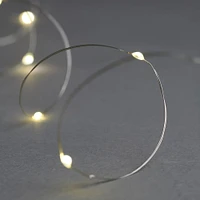 Garland 40 LED Lights – Warm White