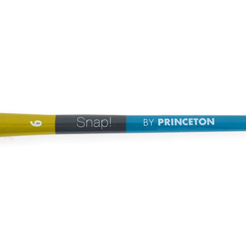 Snap! Paintbrush – Round, White Synthetic, Long Handle