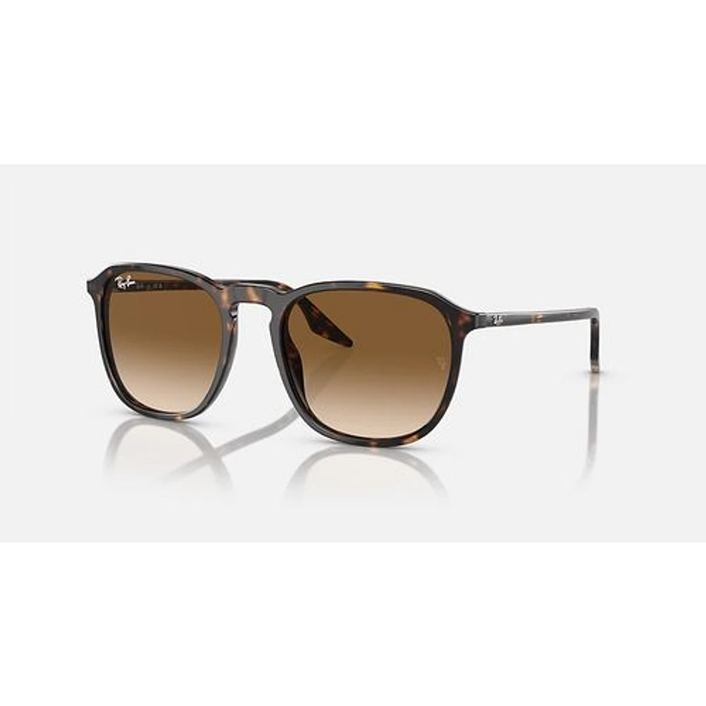 Ray-Ban RB2203