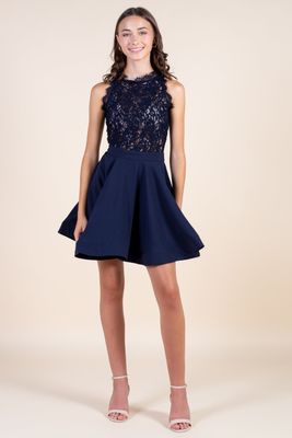 Aislynn Embroidered Lace Bodice A-Line Dress
