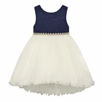 Navy Ivory Dress