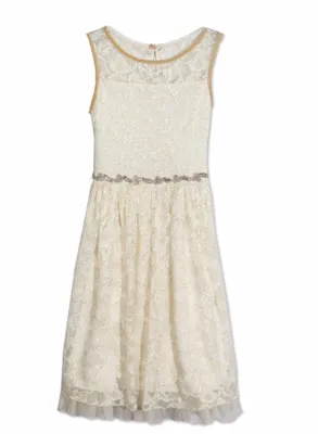 Designer Lace Pleated Dress