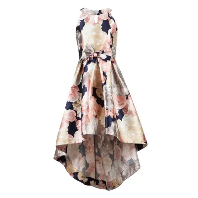 Paparazzi Cotoure Dress Pink & Floral