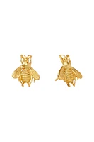 BEE STUD GOLD