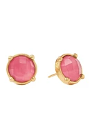 HONEY STUDS