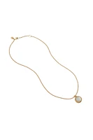 FLEUR DE LIS SOLITAIRE NECKLACE