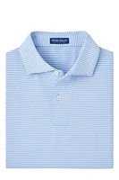 BALLAD PERFORMANCE POLO