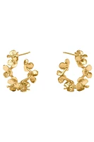 BLOOM SM HOOP- GLD
