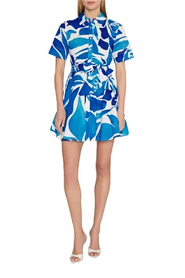 DREAM ROSE POPLIN BUTTON DOWN DRESS