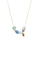 INDIRA CHARM NECKLACE