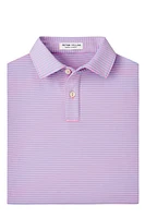 YOUTH HALES PERFORMANCE POLO