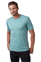 MUST HAVE CREW TEE