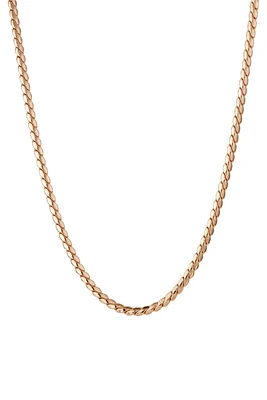 PALOMA CHAIN