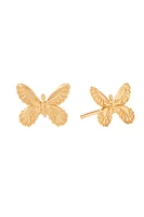 BUTTERFLY STUD EARRING- GOLD