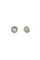 HONEY STUDS