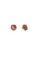 HONEY STUDS