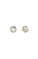 HONEY STUDS