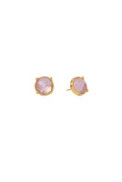 HONEY STUDS