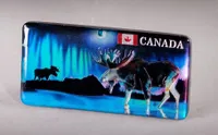 NORTHERN LIGHTS MAGNET