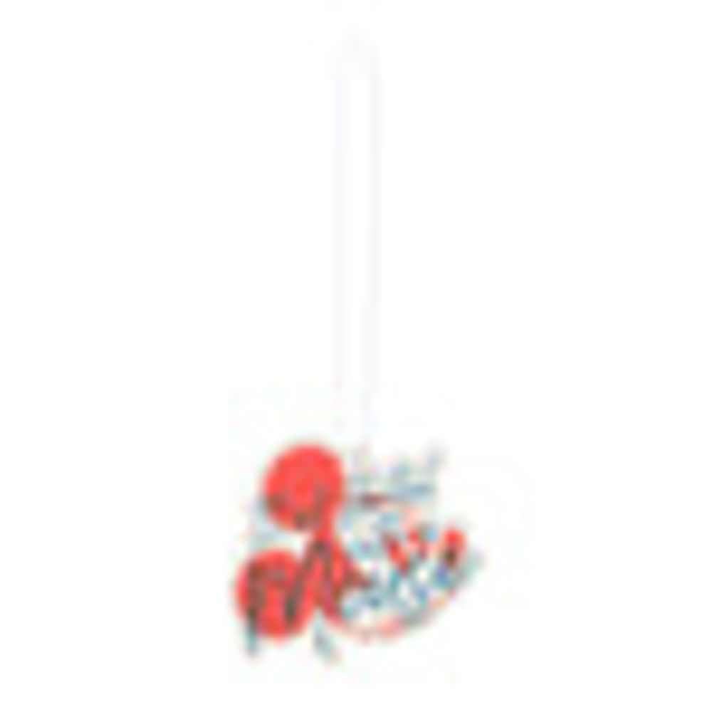 MINISO Mickey Mouse Collection 2.0 Hanging Car Scent Diffuser 2Pcs(Rose