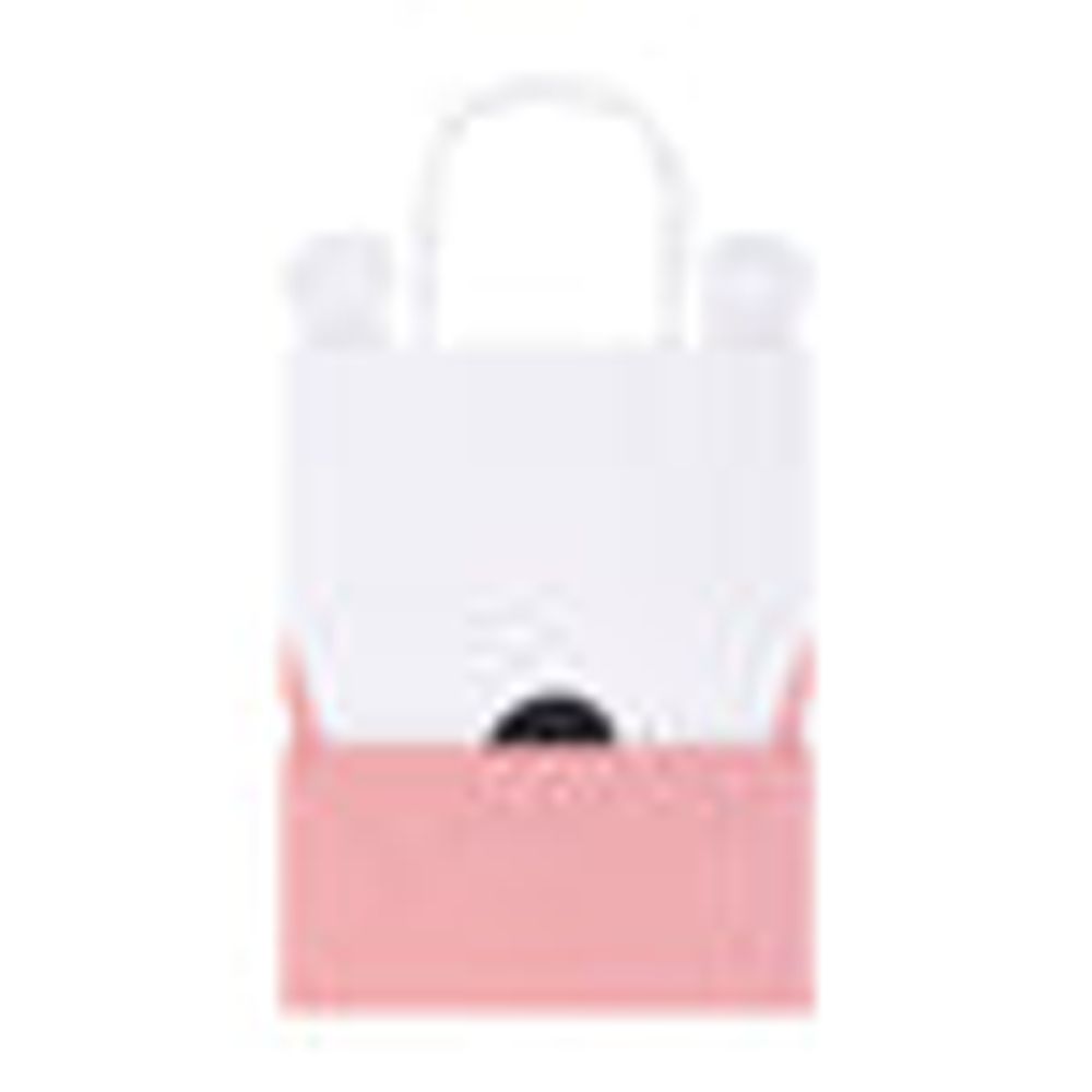 MINISO Panda Square Gift Bag with Handles