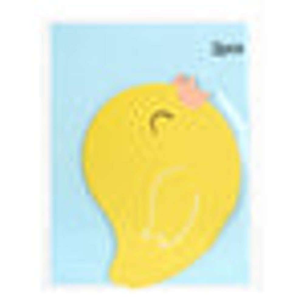 MINISO Bunny and Chick Greeting Card