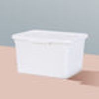 MINISO Simple Storage Box (Small