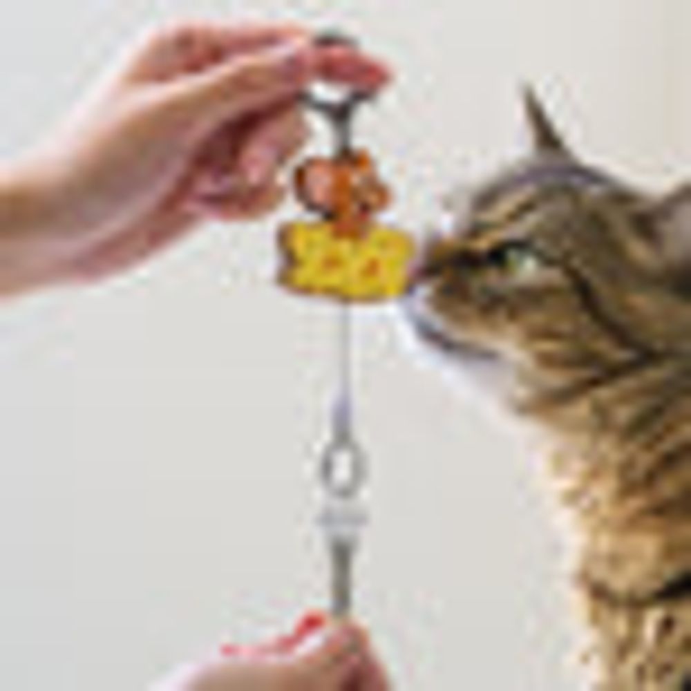 MINISO Tom&Jerry I love cheese Collection Retractable Key Chain(Tom