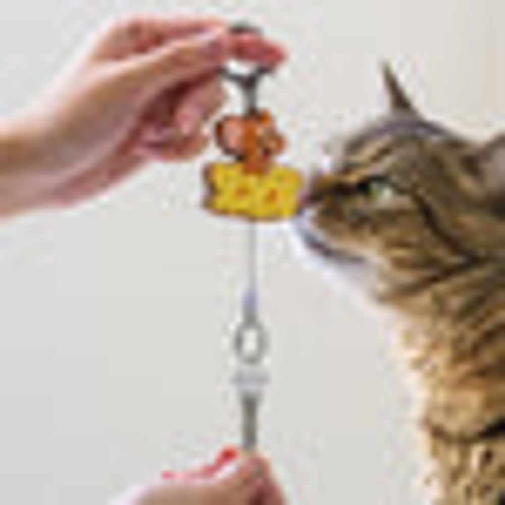 MINISO Tom&Jerry I love cheese Collection Retractable Key Chain(Tuffy