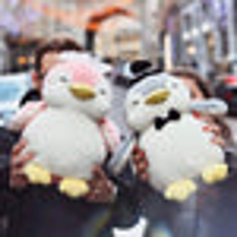 MINISO Adorable Penguin Plush (37cm