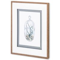 Air Plant Series