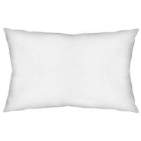 Non-Allergen Pillow Insert