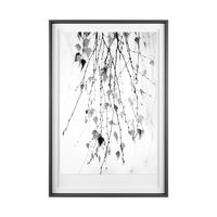 Branch Framed Series