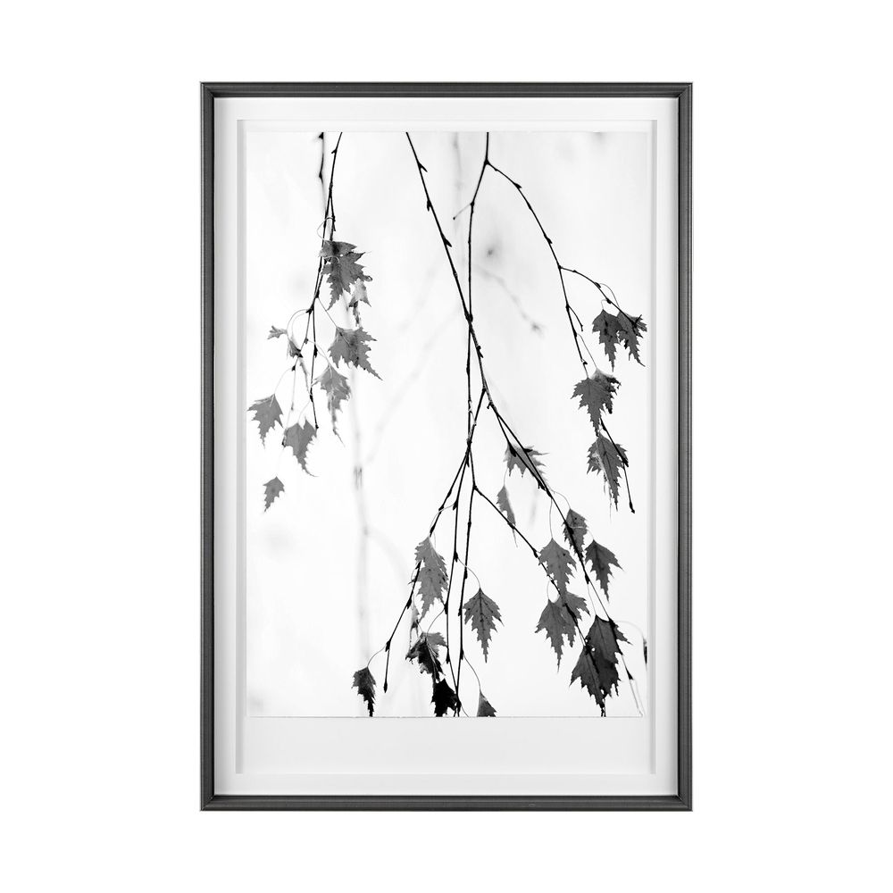 Branch Framed Series