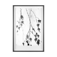 Branch Framed Series