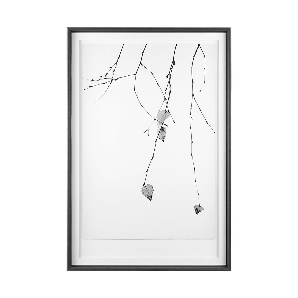 Branch Framed Series